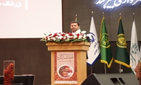 ایران رتبه نخست دنیا در تولید زرشک/ 98 درصد زرشک بی‌دانه جهان در خراسان جنوبی تولید می‌شود
